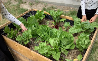 Garten-AG