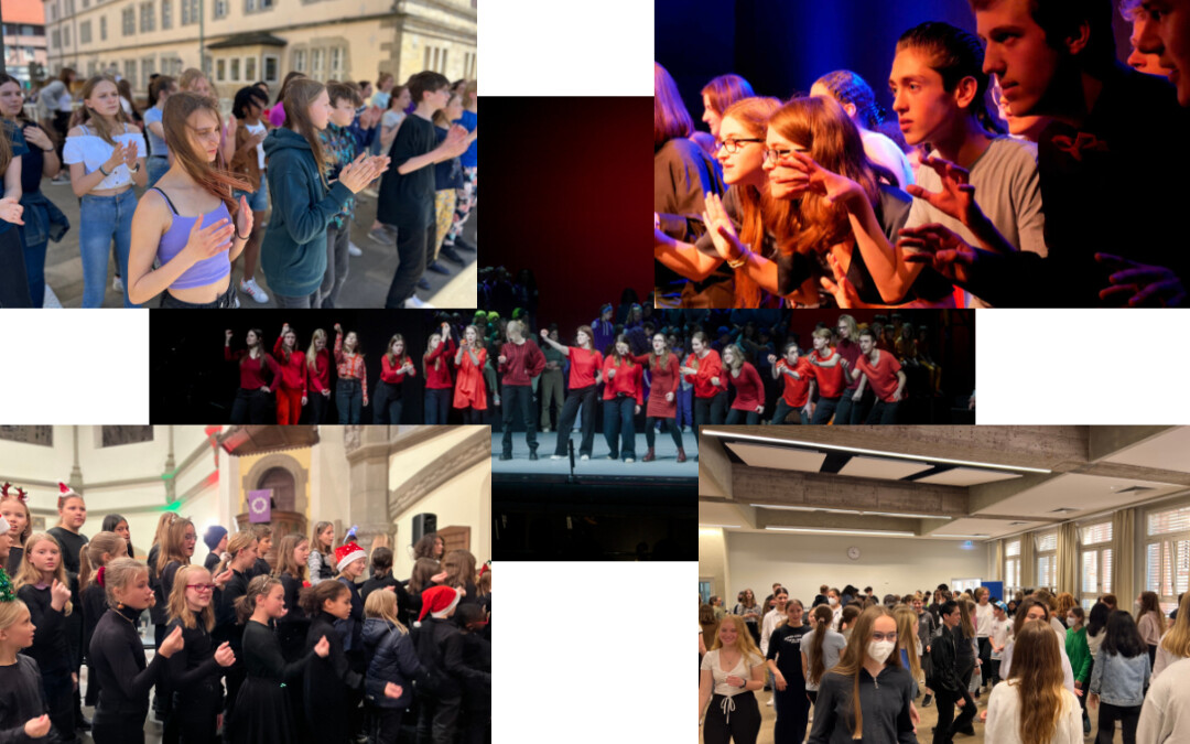 Konzerte und Projekte von Voice ’n Performance
