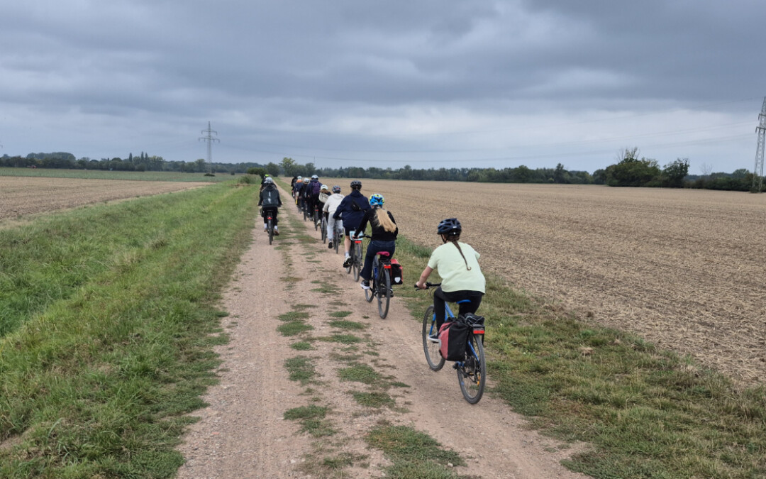 Projektwoche vom 08. bis 12. September 2025